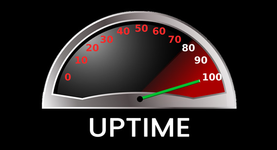 SLA with Assured Uptime & Performance