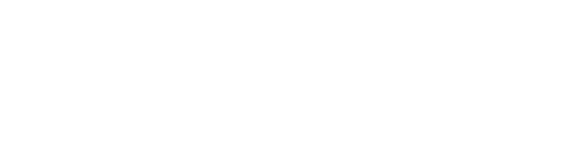 Esri Partner